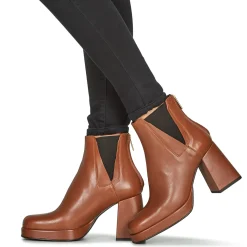 Fericelli - ALSTROMERIA