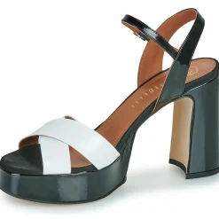 Discount Fericelli - FELICIA