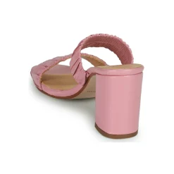 Fericelli - FRAGOLA Rose Sale