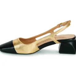 Clearance Fericelli - LEA