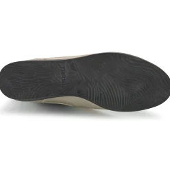 Online Fericelli - LORNA