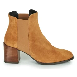 Fericelli - NONUTS Camel