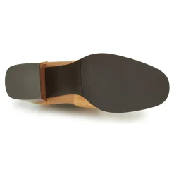 Fericelli - NONUTS Camel