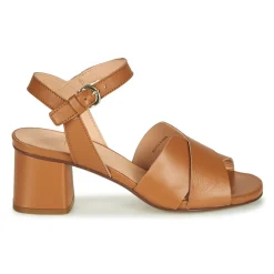 Fericelli - ONAPA Camel Online