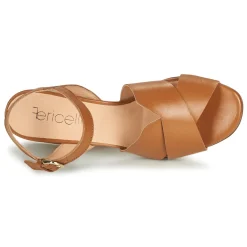 Fericelli - ONAPA Camel Online