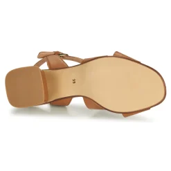 Fericelli - ONAPA Camel Online