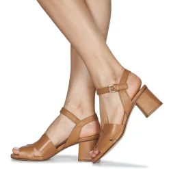 Fericelli - ONAPA Camel Online