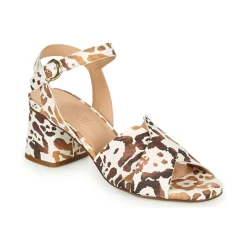 Fericelli - ONAPA Clearance