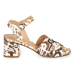 Fericelli - ONAPA Clearance