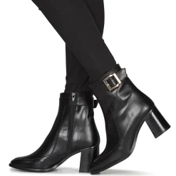 Fericelli - PALAIS Noir