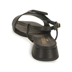 Fericelli - PANILA New