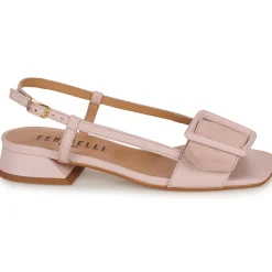 Best Fericelli - PANILA Rose