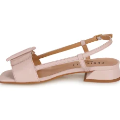 Best Fericelli - PANILA Rose