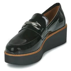 Best Fericelli - PARONIE Noir