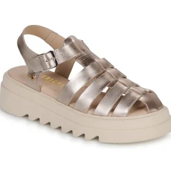 Hot Fericelli - SIMEYA