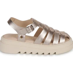 Hot Fericelli - SIMEYA