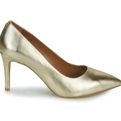 Fericelli - URSINIA Doré