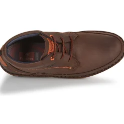 Fluchos - ALFA Marron Hot