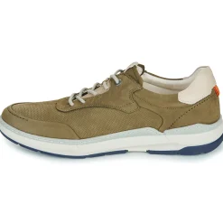 Online Fluchos - JEFF Kaki