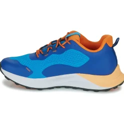 Clearance Fluchos - TERRA