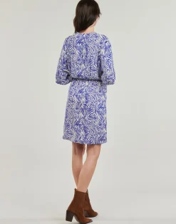 Best Freeman T.Porter - ROZA ZEBRURE Bleu