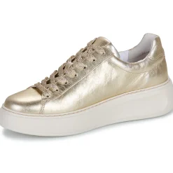 Hot Gabor - 66488 Doré