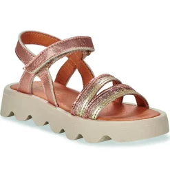 GBB - ALBA Rose Clearance