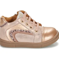 GBB - ALMA Rose Best