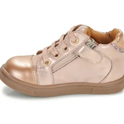 GBB - ALMA Rose Best