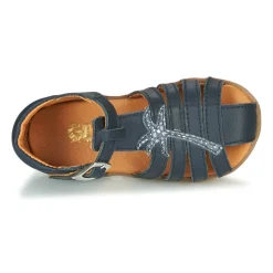 New GBB - ANAYA Marine