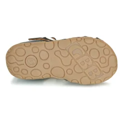 New GBB - ANAYA Marine