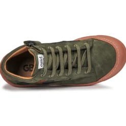 Online GBB - ARNOLD Vert