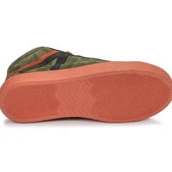 Online GBB - ARNOLD Vert