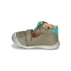 GBB - BOLINA Gris Online