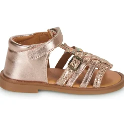 Discount GBB - CARETTE Rose