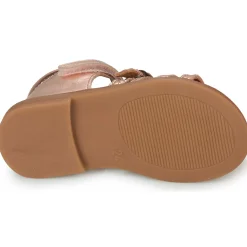 Discount GBB - CARETTE Rose