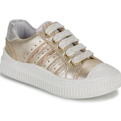 GBB - COLISA Doré Hot