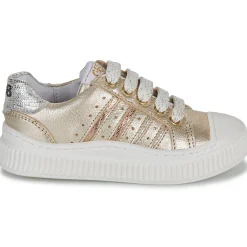 GBB - COLISA Doré Hot