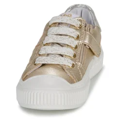 GBB - COLISA Doré Hot