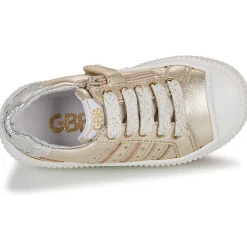 GBB - COLISA Doré Hot