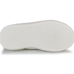 GBB - COLISA Doré Hot