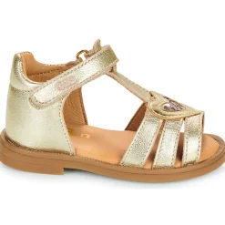 Best GBB - DAPHNE Doré