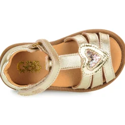 Best GBB - DAPHNE Doré