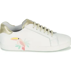 Discount GBB - EDONIA Blanc