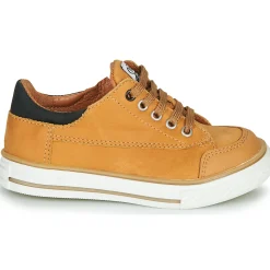 Clearance GBB - ETIO Cognac