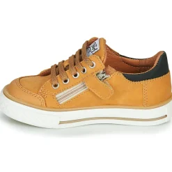 Clearance GBB - ETIO Cognac