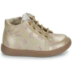 Hot GBB - FAMIA Doré