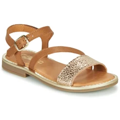 Discount GBB - FANA Cognac