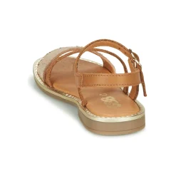 Discount GBB - FANA Cognac