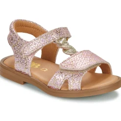 GBB - FARENA Rose New